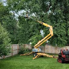 Best Grass Overseeding  in Dahlgren, VA