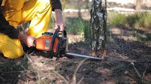 Best Lawn Watering Services  in Dahlgren, VA