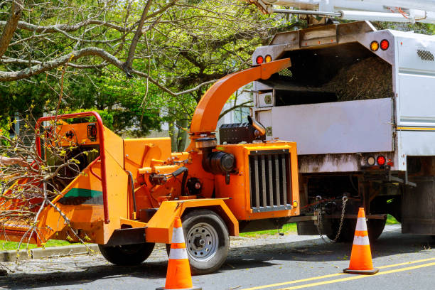 Best Tree Mulching  in Dahlgren, VA