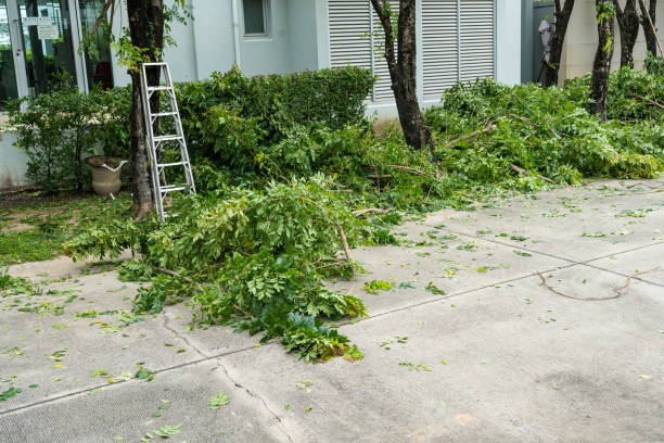 Best Hazardous Tree Removal  in Dahlgren, VA