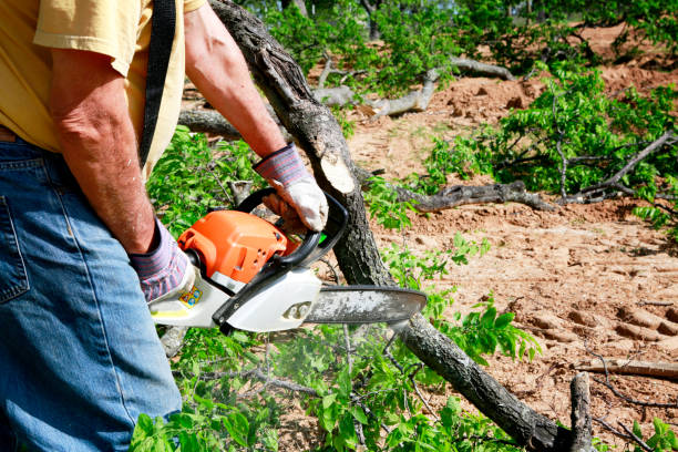 Best Tree Preservation Services  in Dahlgren, VA
